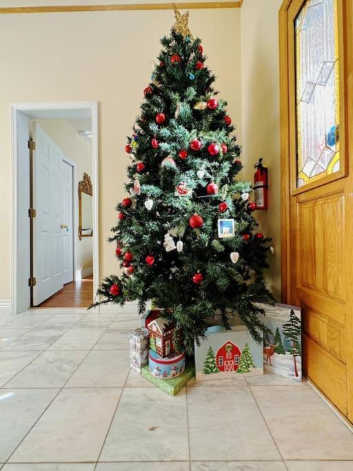 Super Cosy 8Bed & 6Bath In Vancouver Heart Near To Airport And Downtown Buitenkant foto