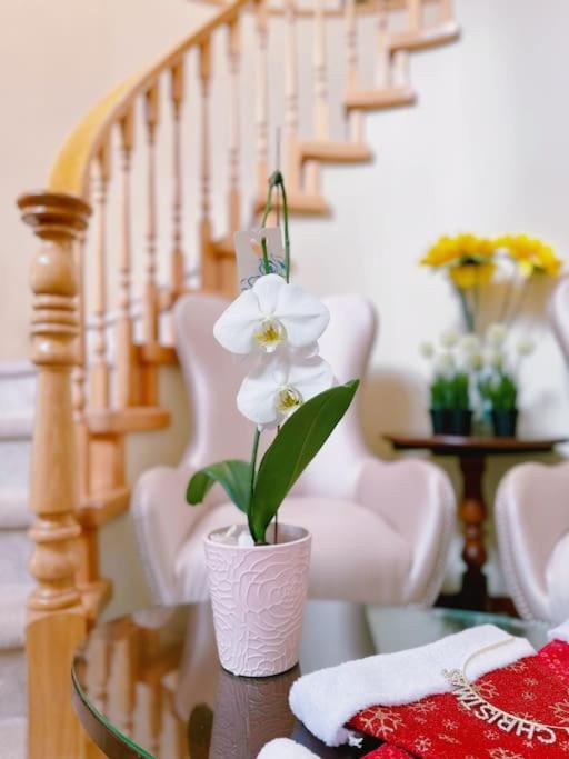 Super Cosy 8Bed & 6Bath In Vancouver Heart Near To Airport And Downtown Buitenkant foto